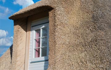 Henryd thatch roof disadvantages