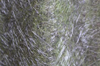 Henryd fibreglass roof work